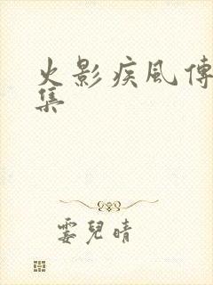 火影疾风传多少集