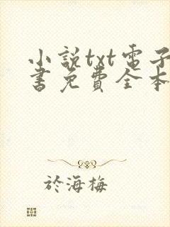 小说txt电子书免费全本完结