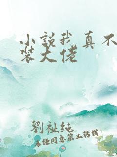 小说我真不是女装大佬