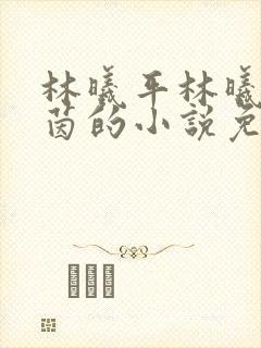 林曦平林曦安如茵的小说免费阅读