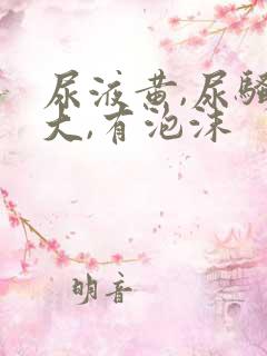 尿液黄,尿骚味大,有泡沫