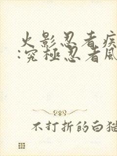 火影忍者疾风传:究极忍者风暴3