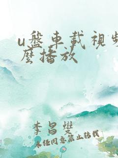 u盘车载视频怎么播放