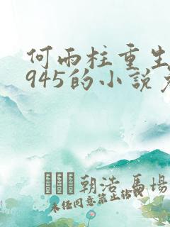 何雨柱重生到1945的小说免费阅读