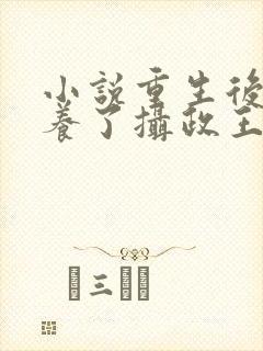 小说重生后我娇养了摄政王小说