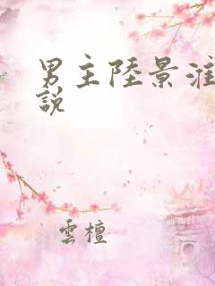 男主陆景淮的小说