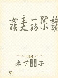 女主一开始就很强大的小说