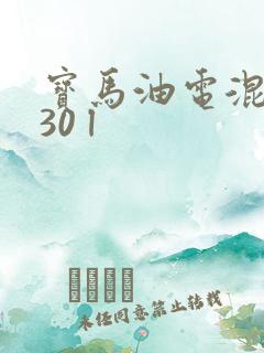 宝马油电混合530 l