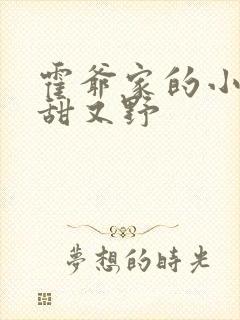 霍爷家的小祖宗甜又野