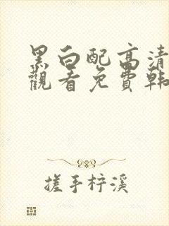 黑白配高清在线观看免费韩剧