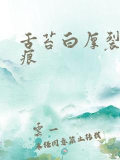 舌苔白厚裂纹齿痕