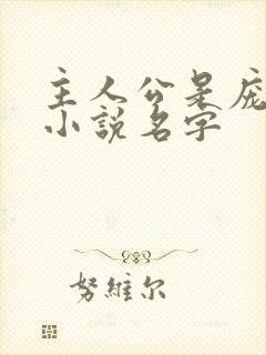 主人公是庞北的小说名字