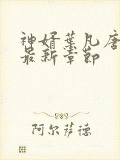 神婿叶凡唐若雪最新章节