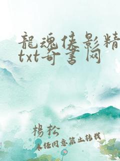 龙魂侠影精校版txt奇书网