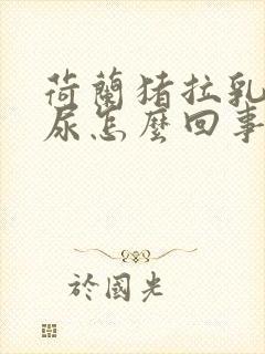 荷兰猪拉乳白色尿怎么回事