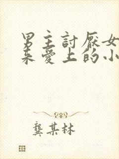 男主讨厌女主后来爱上的小说