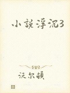 小说浮沉3