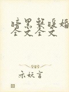 暗黑系暖婚阅读全文全文