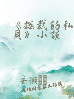 《总裁的私有宝贝》小说