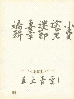 娇妻迷途小说最新章节免费阅读