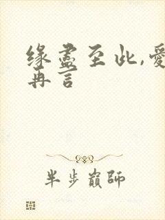 缘尽至此,爱不再言