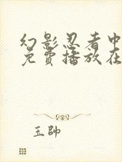 幻影忍者中文版免费播放在线观看