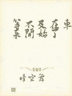 等不及在车里就来开始了