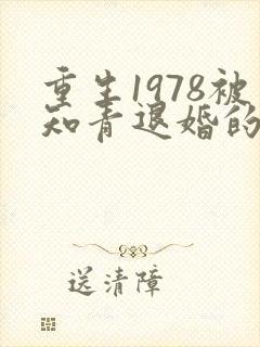 重生1978被知青退婚的小说