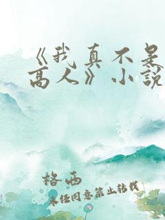《我真不是隐世高人》小说