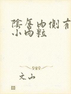 阴唇内侧有一排小肉粒