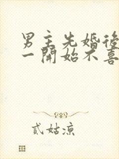 男主先婚后爱,一开始不喜欢女主角