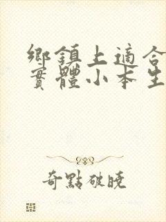 乡镇上适合做的实体小本生意