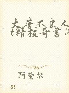 大唐不良人txt精校奇书网