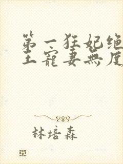 第一狂妃绝色邪王宠妻无度