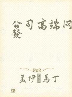 公司高端网站开发