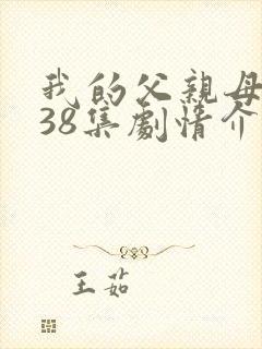 我的父亲母亲第38集剧情介绍
