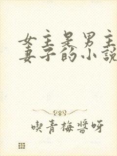 女主是男主下属妻子的小说