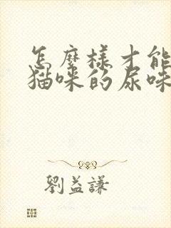 怎么样才能去掉猫咪的尿味