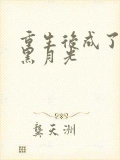 重生后成了权臣黑月光