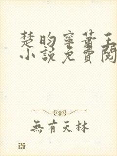 楚昀宁萧王穿越小说免费阅读无弹窗