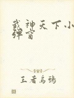 武神天下小说无弹窗