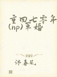 重回七零年代文(np)军婚