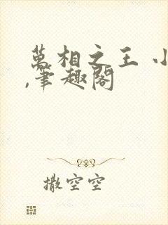 万相之王 小说,笔趣阁