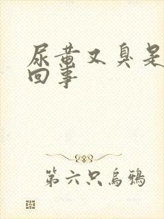 尿黄又臭是怎么回事