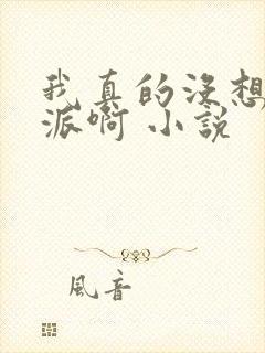 我真的没想当反派啊 小说