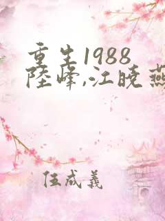 重生1988 陆峰,江晓燕 小说