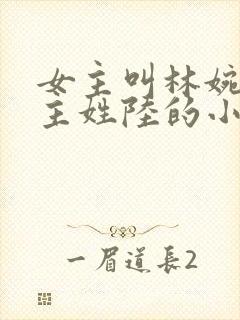 女主叫林婉清男主姓陆的小说