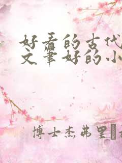 好看的古代言情文笔好的小说