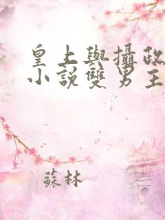 皇上与摄政王的小说双男主