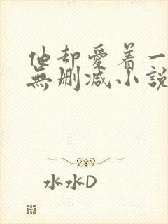 他却爱着一个他无删减小说